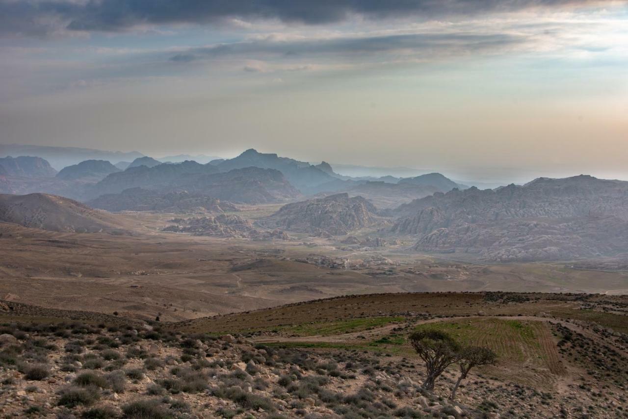 Bedouin Pink Ecohouse Panzió Vádi Músza Kültér fotó