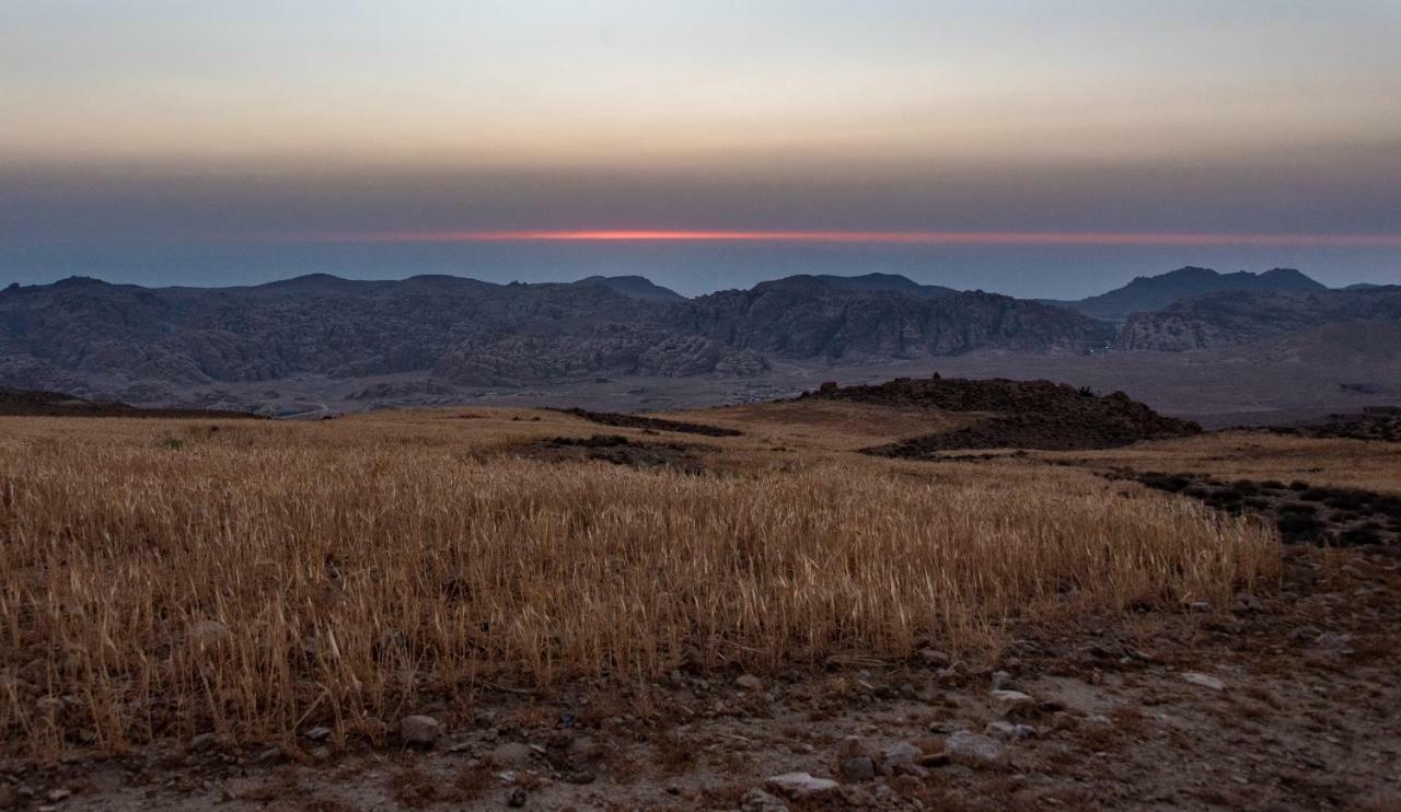 Bedouin Pink Ecohouse Panzió Vádi Músza Kültér fotó