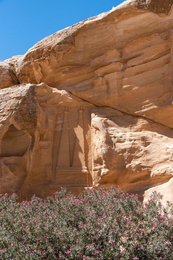 Bedouin Pink Ecohouse Panzió Vádi Músza Kültér fotó